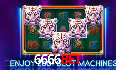 API Integration 6666Bet
